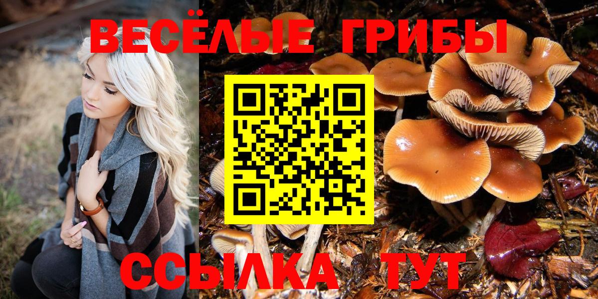 как найти наркотики  Псилоцибиновые грибы MAGIC MUSHROOMS  Евпатория  Вход с VPN  Галлюциногенные грибы Magic Shrooms 