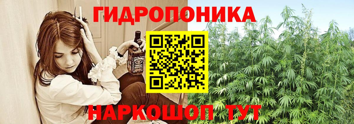 Шишки марихуана тримм  Бошки марихуана THC 21%  Каннабис гибрид  Вход с VPN  Бошки марихуана Bruce Banner  Евпатория 